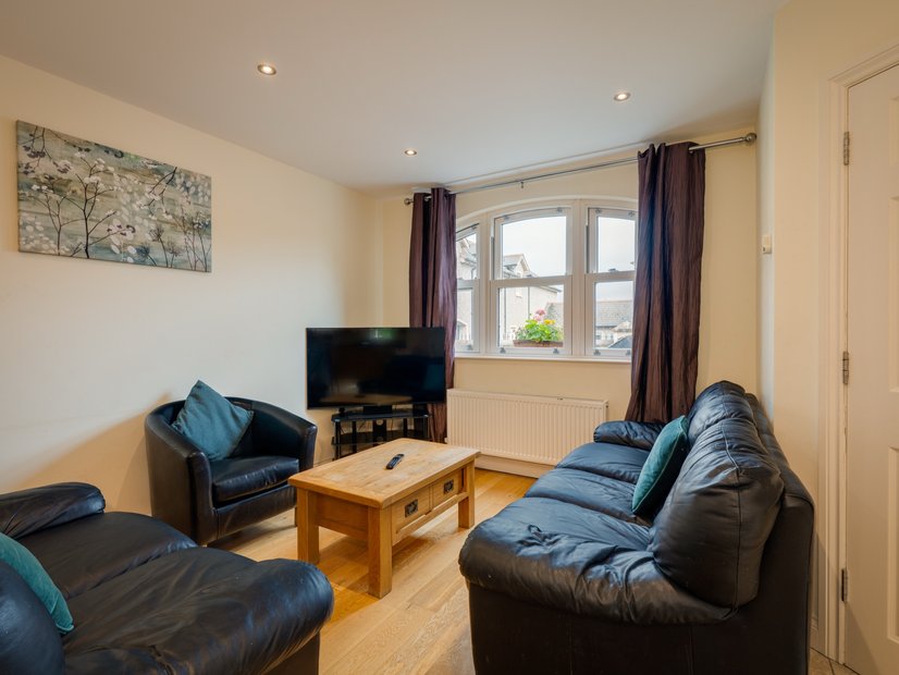 Living room with leather sofas